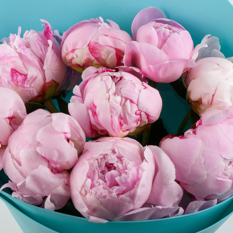 Букет из 9 пионов Светлые чувства Букет из 9 пионов Светлые чувства