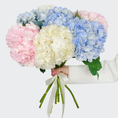 Букет 7 гортензий Цветочные облака Букет 7 гортензий Цветочные облака