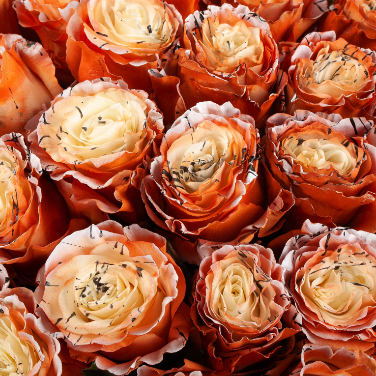 Букет 75 роз Золотые мгновения Букет 75 роз Золотые мгновения