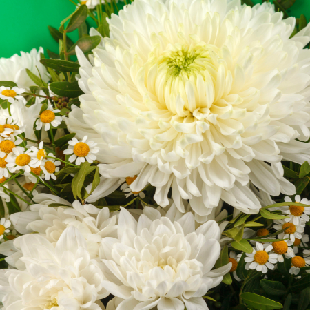 Букет Белый бархат (мини) Букет Белый бархат (мини)