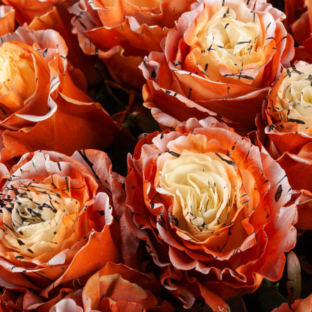 Букет 35 роз Золотые мгновения Букет 35 роз Золотые мгновения