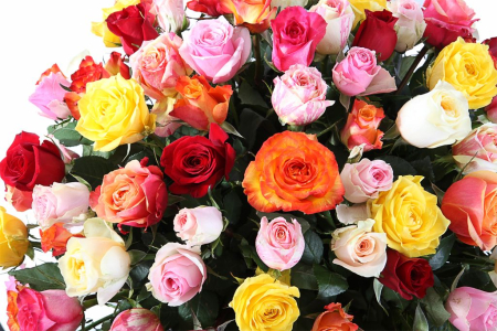 Букет Фламандская легенда (101 роза) в корзине Букет Фламандская легенда (101 роза) в корзине