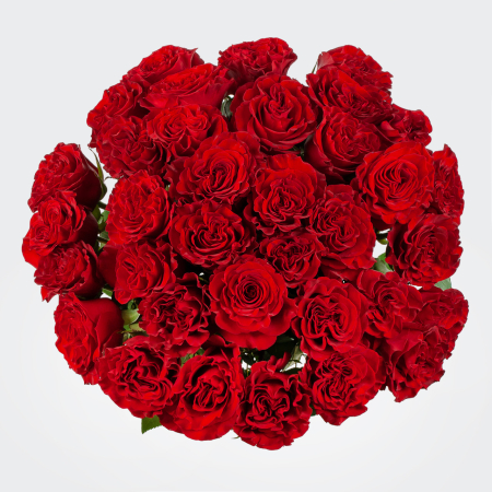 Букет 35 роз Хартс (Эквадор), 60 см Букет 35 роз Хартс (Эквадор), 60 см