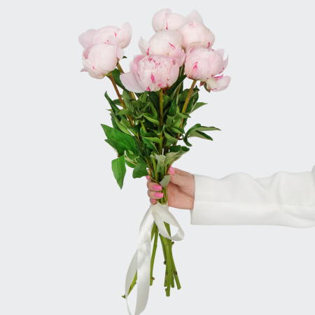 Букет из пионов 7 комплиментов Букет из пионов 7 комплиментов