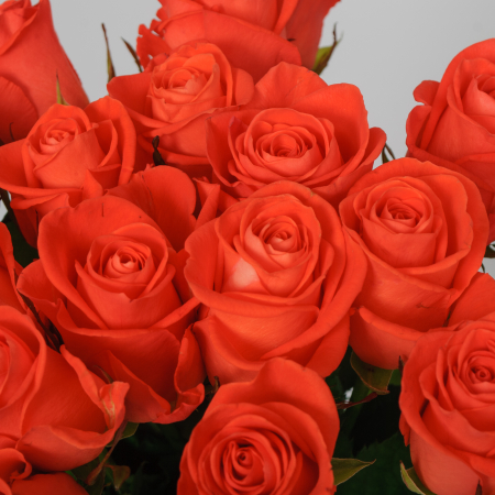 Букет 19 роз Вау Букет 19 роз Вау