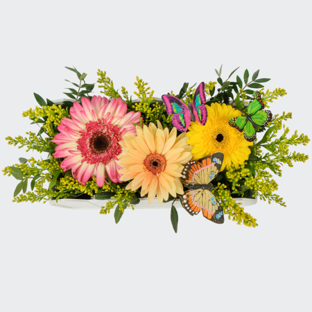 Композиция Метаморфозы знаний Композиция Метаморфозы знаний