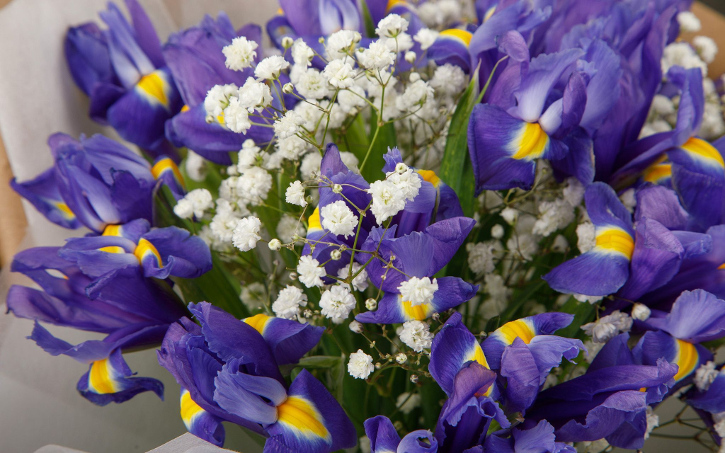 Букет с ирисами Летняя пора (макси) Букет с ирисами Летняя пора (макси)