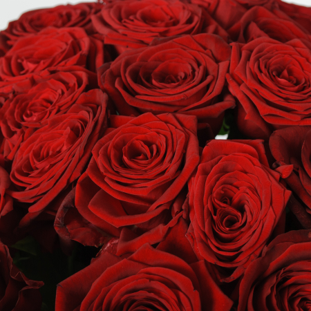 Букет 35 красных роз Ред Наоми (60 см) Букет 35 красных роз Ред Наоми (60 см)