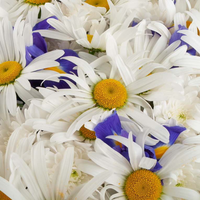 Букет Летняя идиллия Букет Летняя идиллия