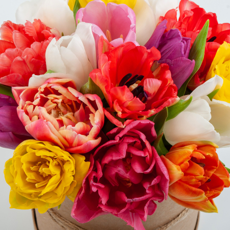 Букет в коробке Цветная акварель (15 тюльпанов) Букет в коробке Цветная акварель (15 тюльпанов)