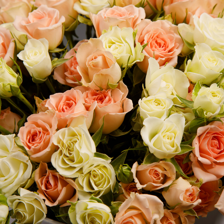 Букет в коробке Легкий румянец Букет в коробке Легкий румянец