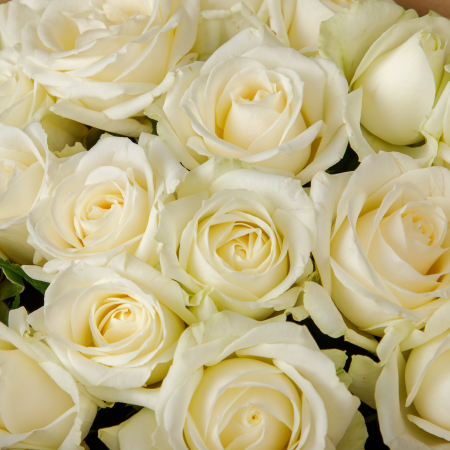 Букет 19 роз Белый мрамор Букет 19 роз Белый мрамор