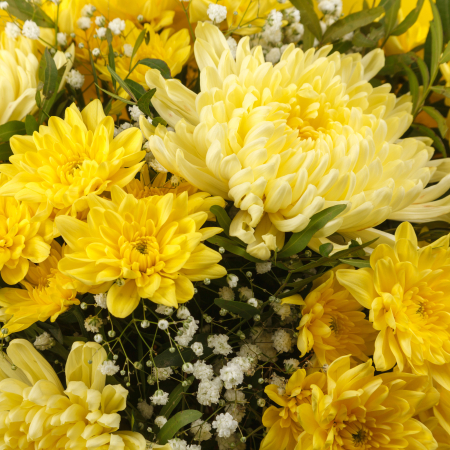 Букет Желтый бархат (миди) Букет Желтый бархат (миди)