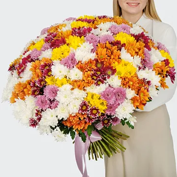 Букет 101 кустовая хризантема микс