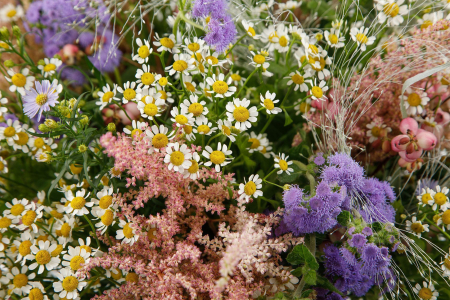 Букет Один день лета Букет Один день лета