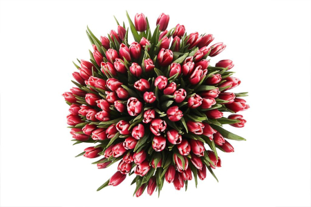 Букет 101 королевский тюльпан в голубой коробке, алые Букет 101 королевский тюльпан в голубой коробке, алые