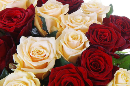 Букет 21 роза микс Букет 21 роза микс