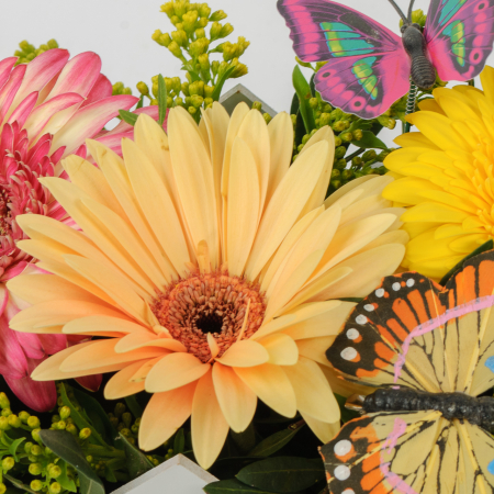 Композиция Метаморфозы знаний Композиция Метаморфозы знаний