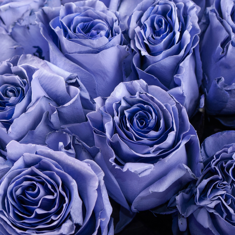 Букет 35 роз Сердце океана Букет 35 роз Сердце океана