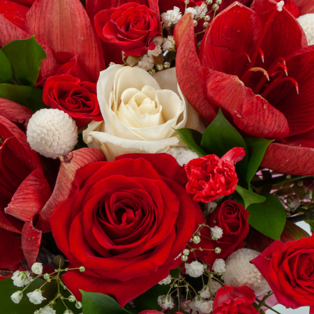 Букет в коробке Дар Афродиты Букет в коробке Дар Афродиты