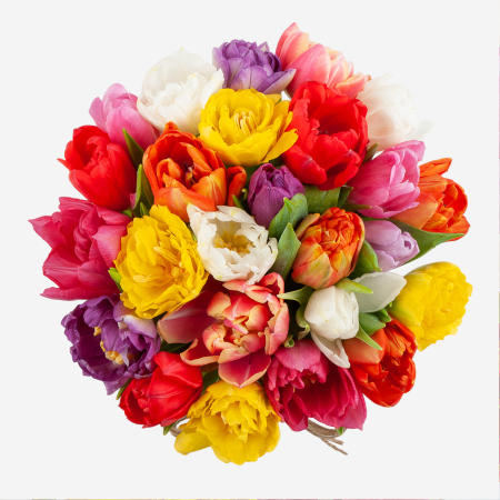 Букет в коробке Цветная акварель (25 тюльпанов) Букет в коробке Цветная акварель (25 тюльпанов)