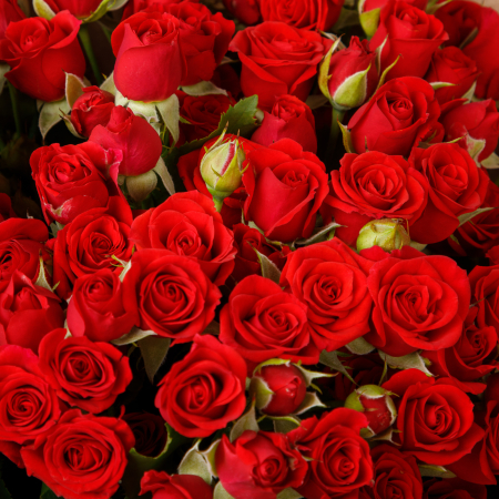 Букет 19 роз Закатный вальс Букет 19 роз Закатный вальс