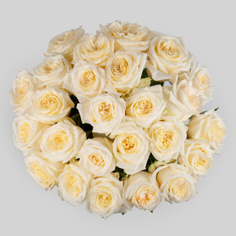 Букет 25 роз Кэндл Лайт (Эквадор), 60 см Букет 25 роз Кэндл Лайт (Эквадор), 60 см