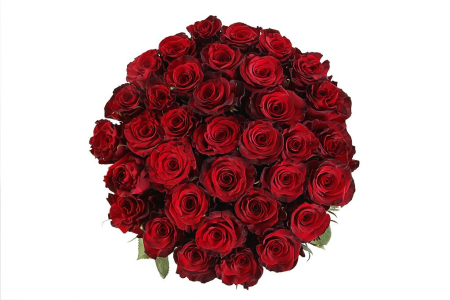 Букет 35 роз Ред Париж Букет 35 роз Ред Париж
