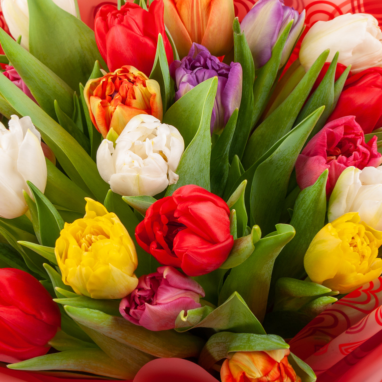 Букет 25 тюльпанов в красной бумаге, микс Букет 25 тюльпанов в красной бумаге, микс