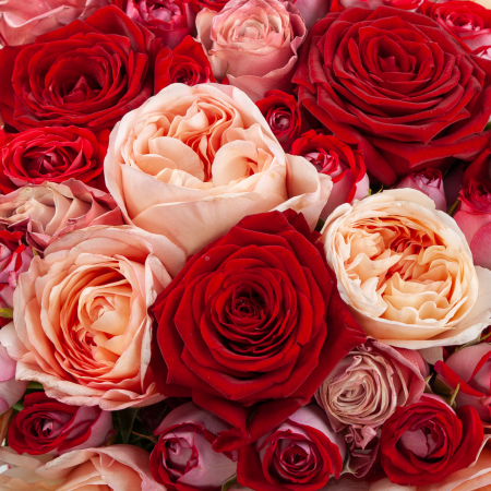 Букет в коробке Бескрайняя любовь Букет в коробке Бескрайняя любовь