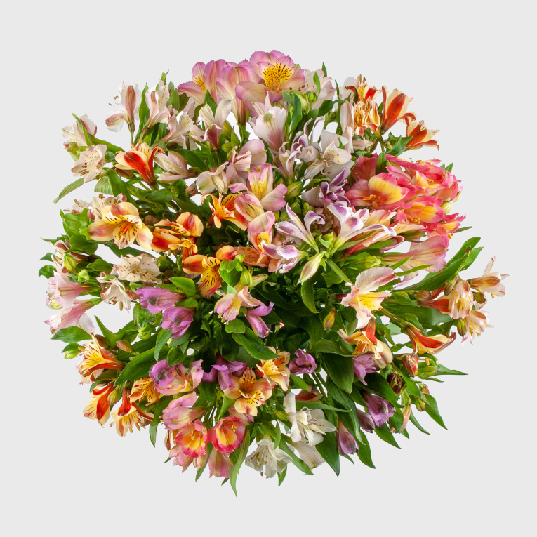 Букет из альстромерий Розовый десерт Букет из альстромерий Розовый десерт