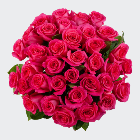 Букет 35 роз Пинк Флойд (Эквадор), 60 см Букет 35 роз Пинк Флойд (Эквадор), 60 см
