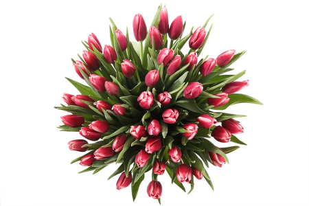 Букет 51 королевский тюльпан в розовой коробке, алые Букет 51 королевский тюльпан в розовой коробке, алые