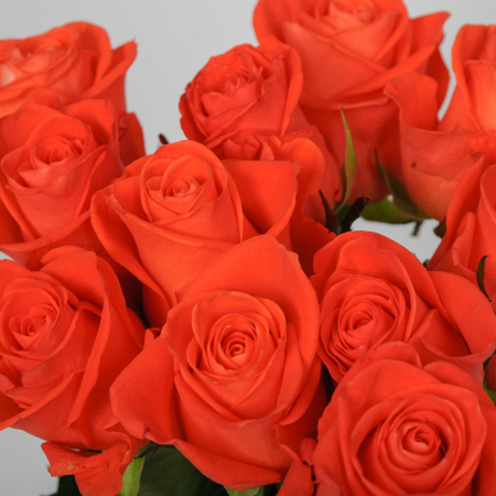 Букет 21 роза Вау Букет 21 роза Вау