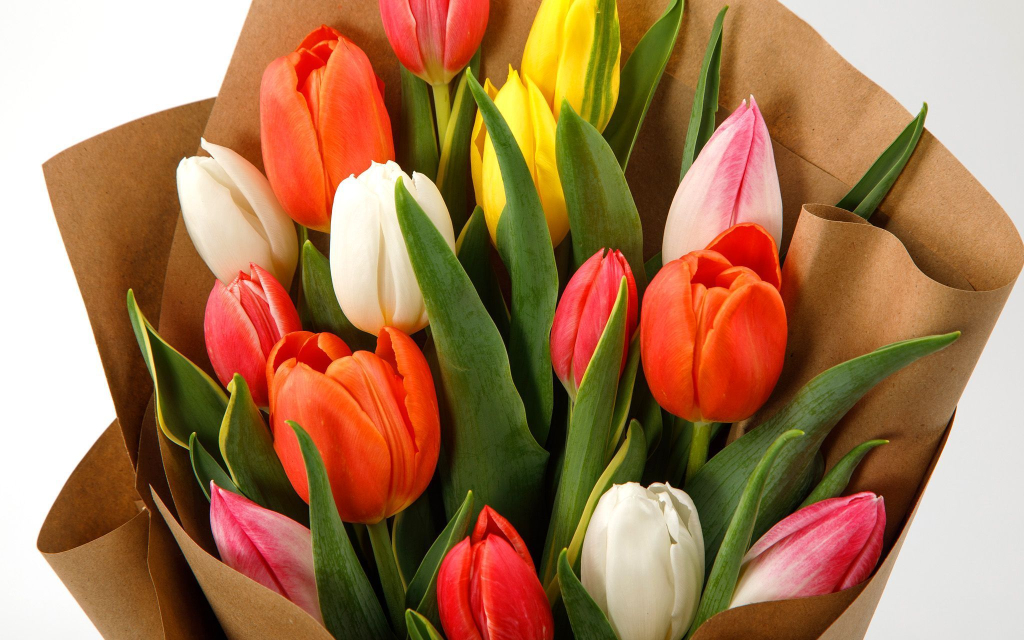 Букет из 15 тюльпанов Апрель Букет из 15 тюльпанов Апрель