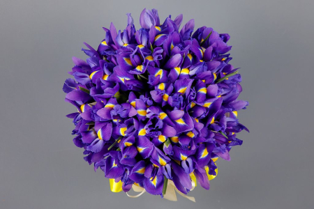 Букет из ирисов в шляпной коробке Ириска Букет из ирисов в шляпной коробке Ириска