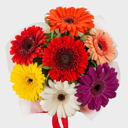 Букет в коробке Семицветик Букет в коробке Семицветик