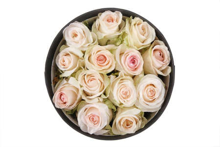 Букет 13 роз Сеньорита в шляпной коробке Букет 13 роз Сеньорита в шляпной коробке