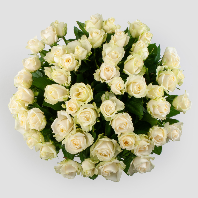 Букет 51 роза Аваланш 50/60 см Букет 51 роза Аваланш 50/60 см