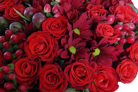 Любящее сердце Любящее сердце