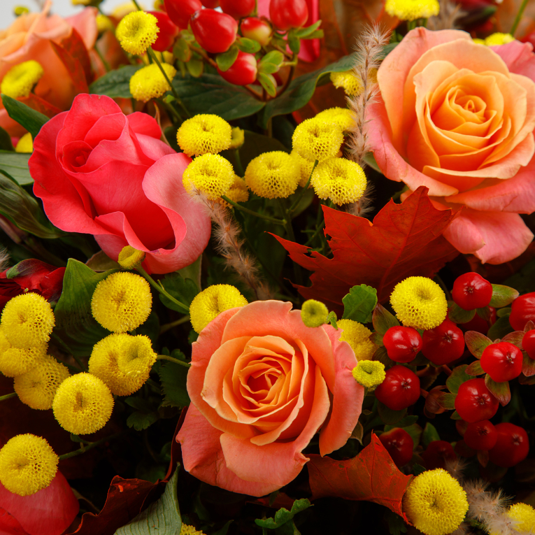 Букет в коробке Вспышка чувств Букет в коробке Вспышка чувств