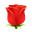 Розы